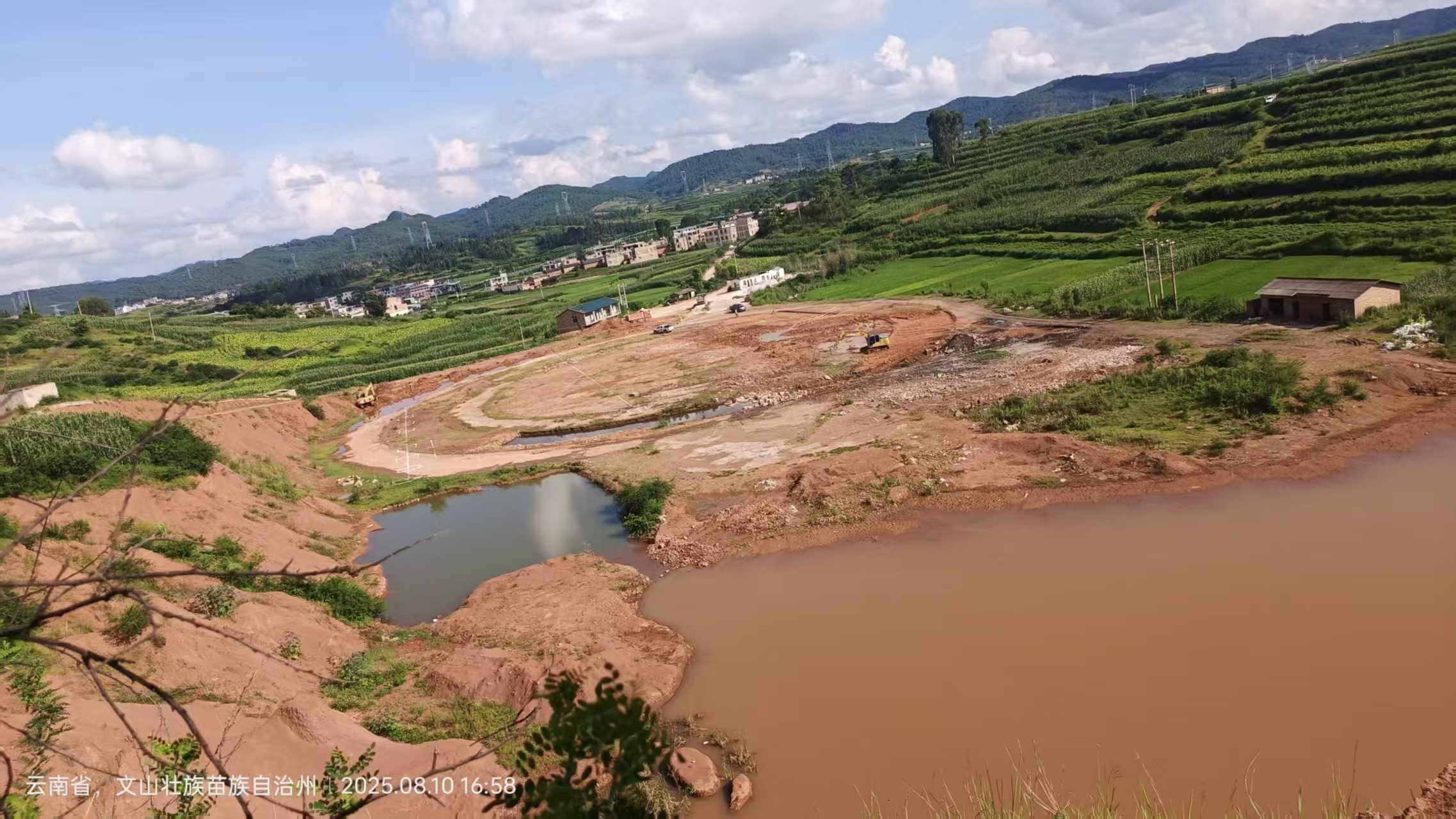 文山天媛生物科技有限公司 艾草產(chǎn)業(yè)蓬勃發(fā)展，引領(lǐng)鄉(xiāng)村振興新潮流