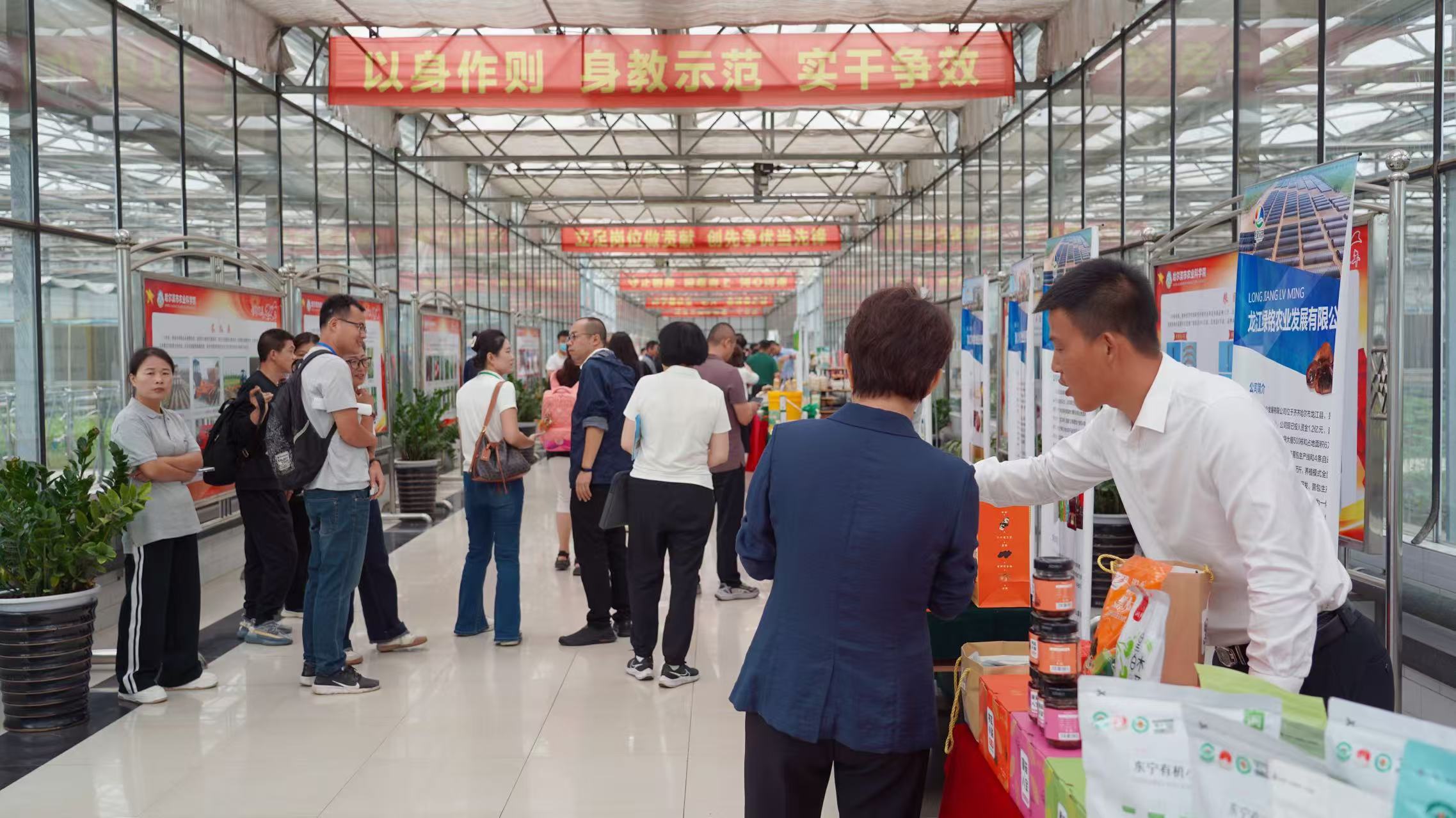 有片｜黑龍江省食用菌產(chǎn)業(yè)高質(zhì)量發(fā)展研討會召開 多維環(huán)節(jié)讓企業(yè)「滿載而歸」