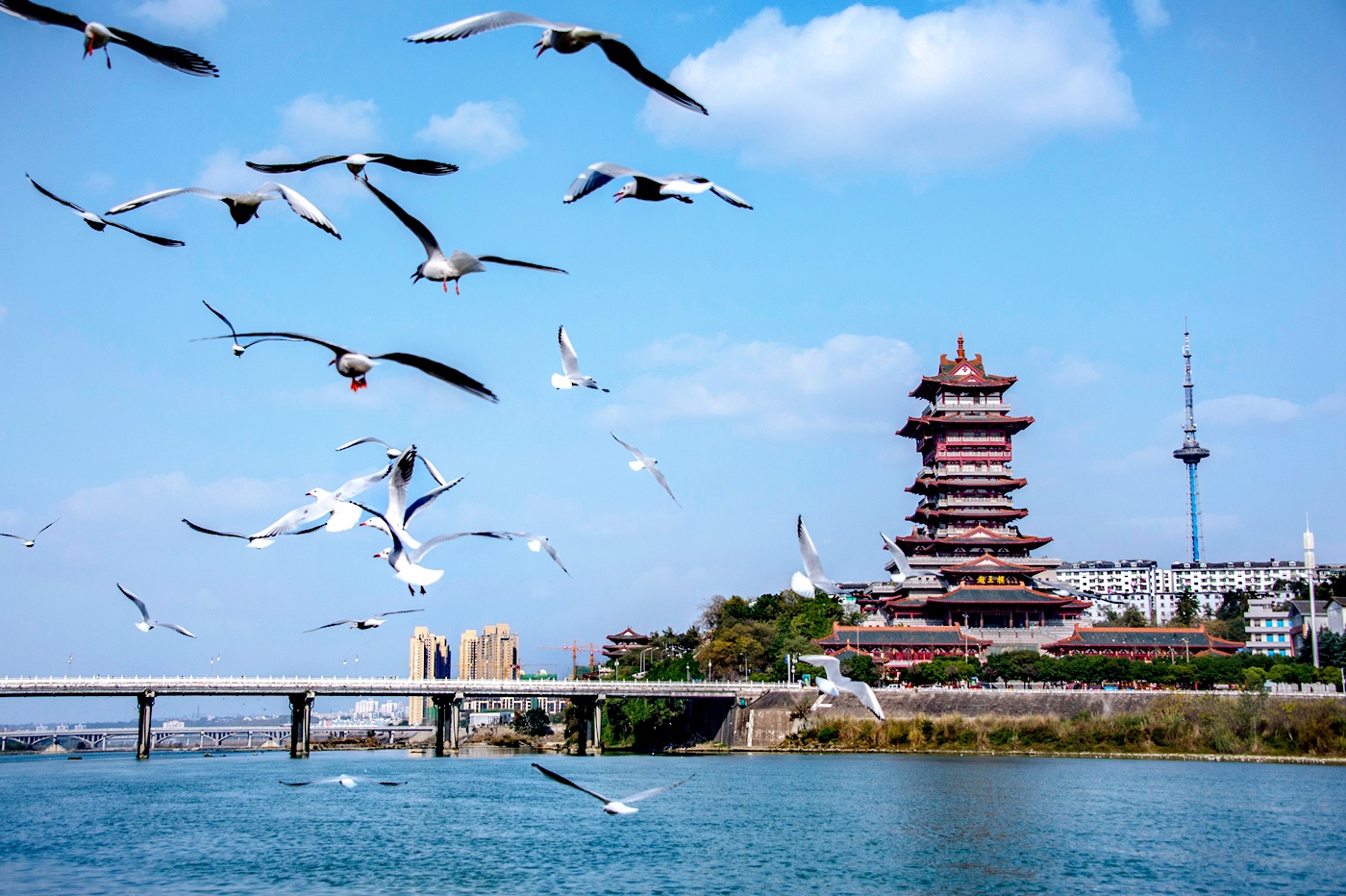 四川首批 綿陽遊仙「雙化協(xié)同」智慧新城有望今年底亮相