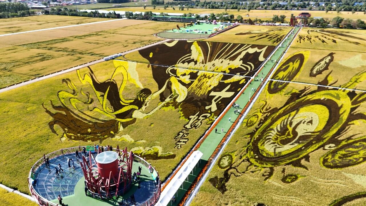 黑龍江豐收節(jié)玩法大解鎖！從鮮農(nóng)藝街到稻田畫，這份攻略請(qǐng)收好