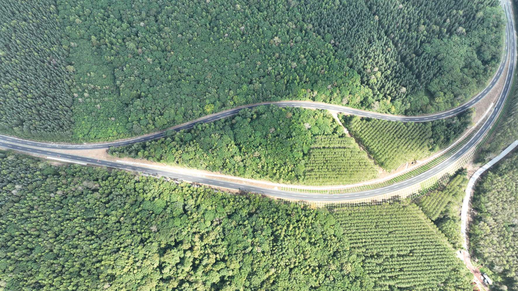 G331吉林段、沈白高鐵9月底即將開通  雙交通動脈激活東北沿邊經(jīng)濟(jì)