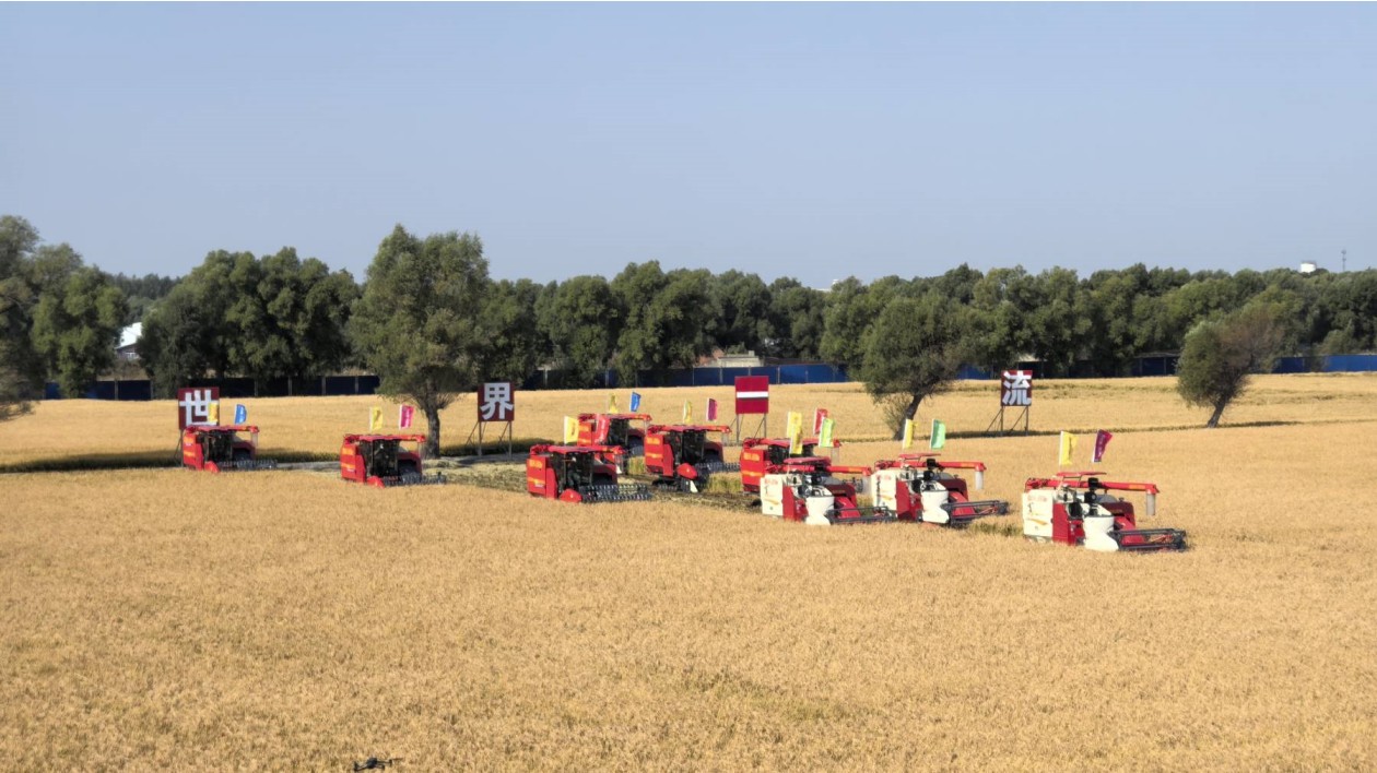 2025年中國(guó)農(nóng)民豐收節(jié) 哈爾濱成色滿滿喜慶豐收