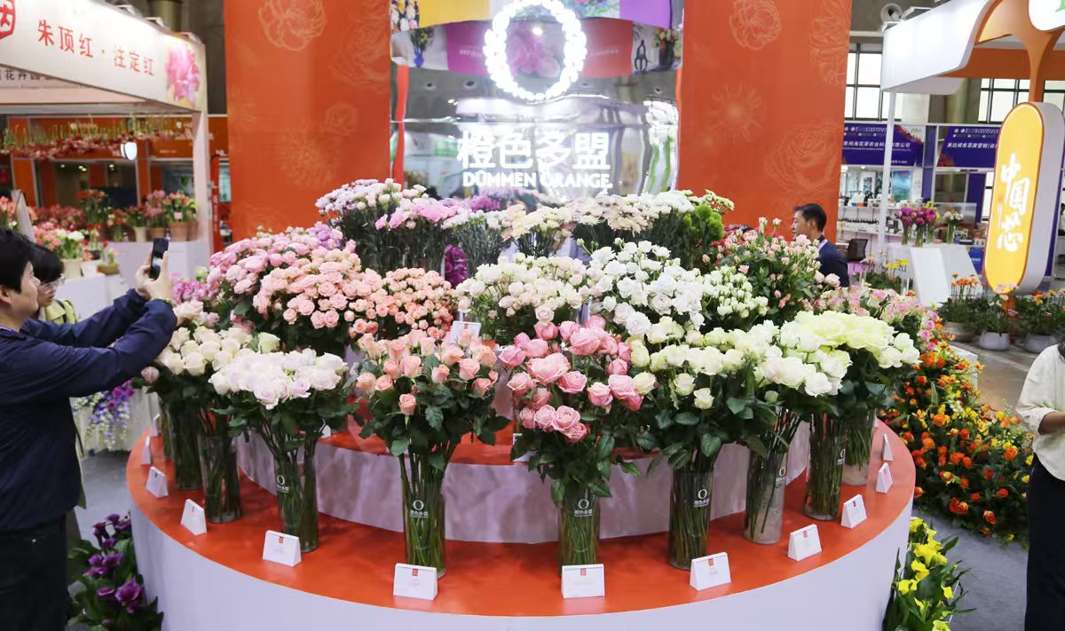 昆明國際花卉展聯(lián)展熱銷  匯聚86個國家的3.5萬名專業(yè)採購商採購