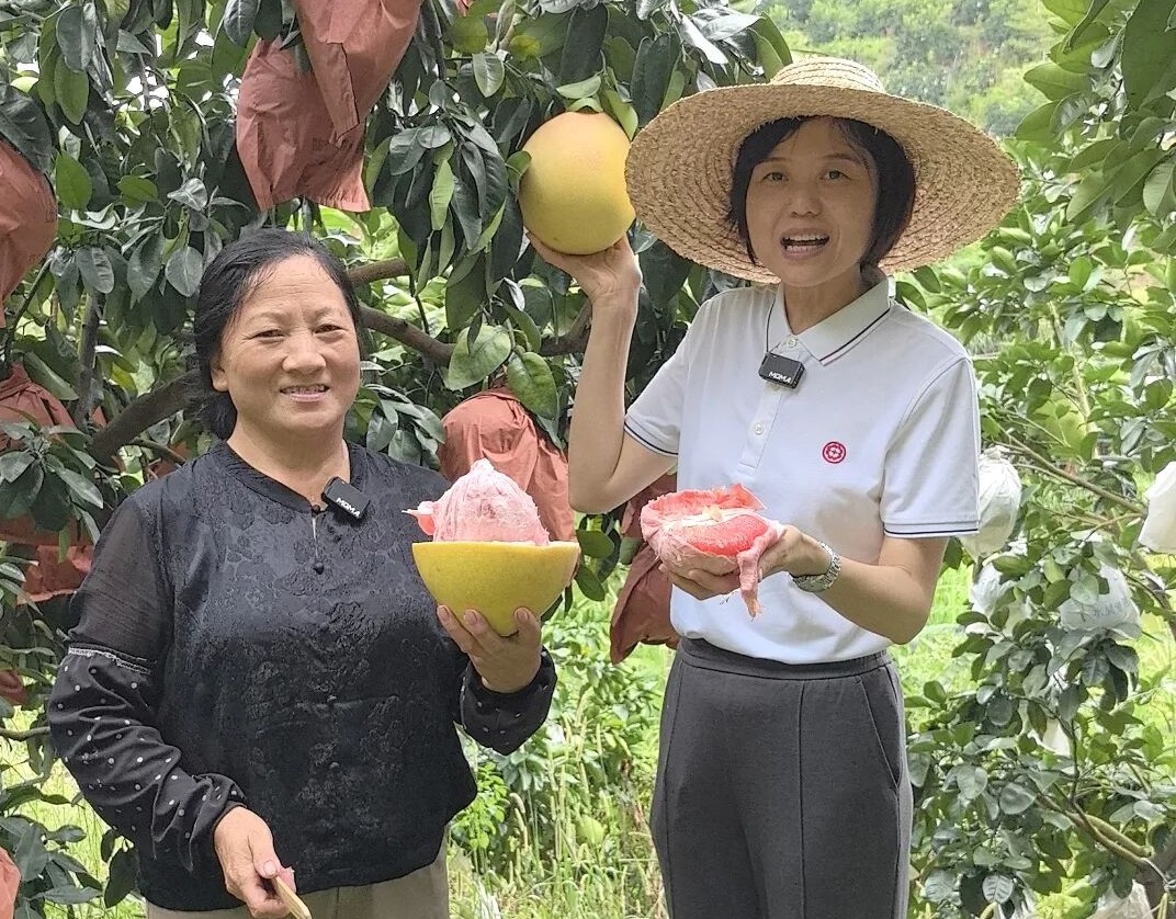 「莞韶同心」  電商助農(nóng)迎豐收