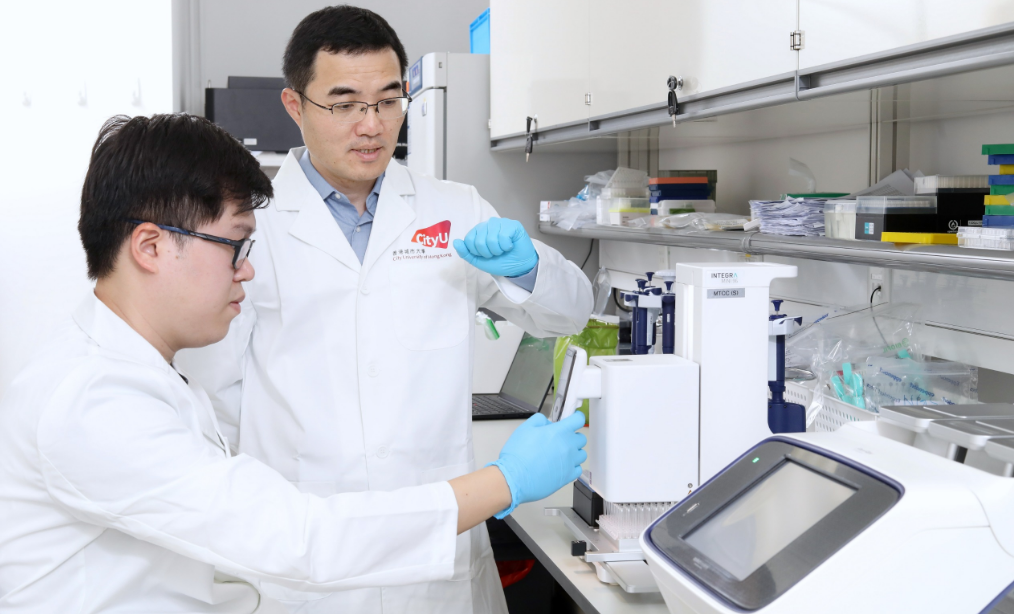 城大研發(fā)嶄新「DNA手術(shù)」 為心肝遺傳病提供更高效治療 