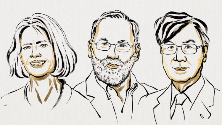 美日三名學(xué)者獲諾貝爾醫(yī)學(xué)獎 表揚研究外周免疫耐受