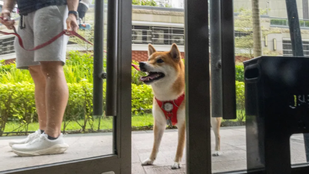 【參政議政】「人寵共融」須平衡社會(huì)多元需求