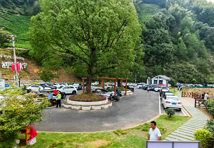 「風(fēng)景+場(chǎng)景+情景」三景融合   皖休寧三棵樹(shù)景區(qū)假日經(jīng)濟(jì)火熱