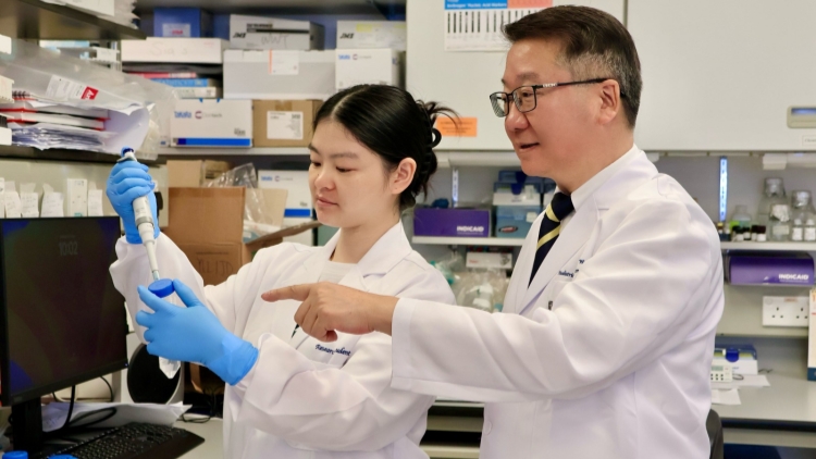 港大醫(yī)學(xué)院發(fā)現(xiàn)特定膳食油酸可增強(qiáng)抗癌免疫細(xì)胞功能