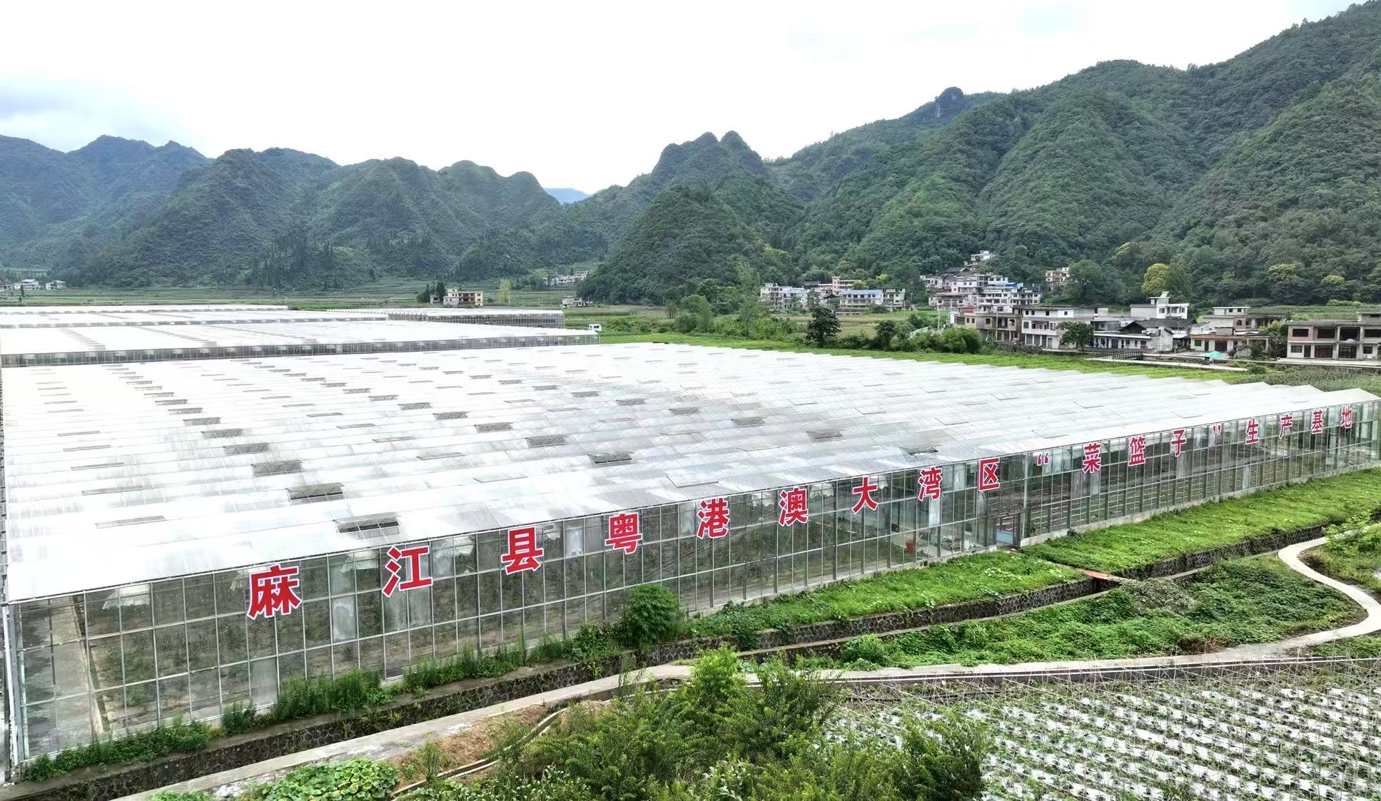 黔麻江：民族團(tuán)結(jié)出碩果 鄉(xiāng)村振興展新貌