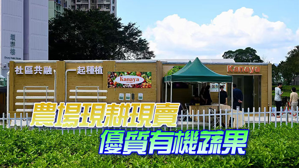 馬鞍山都市農(nóng)場開幕 佔地2000呎生產(chǎn)沙律菜草莓等優(yōu)質(zhì)蔬果