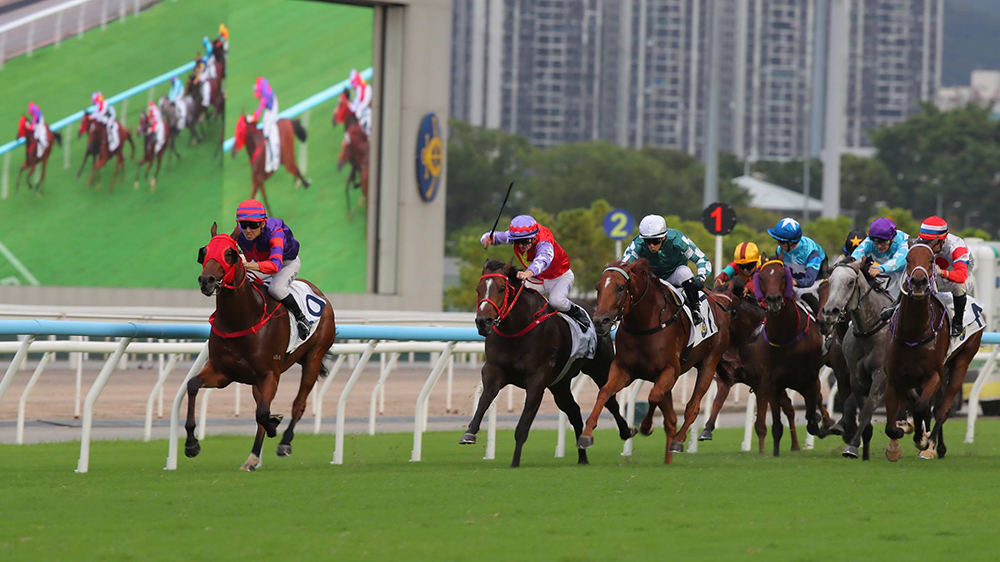 有片丨「關(guān)鍵所在」爆66倍冷門捧中華游樂會挑戰(zhàn)盃