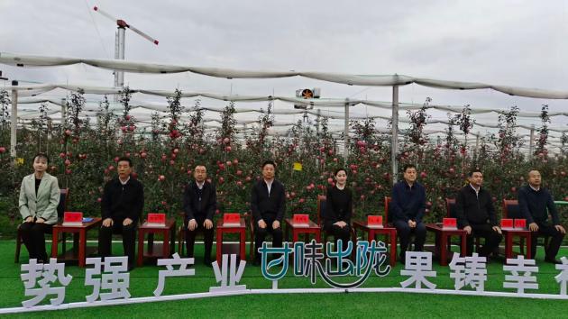 甘肅平?jīng)觯红o寧蘋果去年年產(chǎn)值150億帶動農(nóng)民收入過半