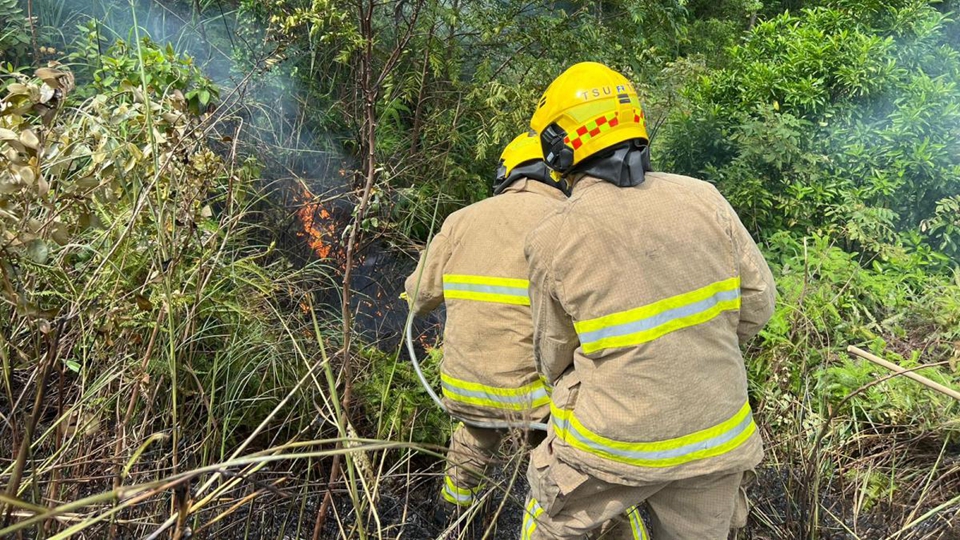 漁護(hù)署籲重陽(yáng)節(jié)市民掃墓謹(jǐn)慎處理火種 防止發(fā)生山火