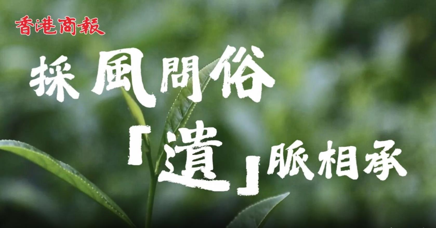 中英茶香飄廈門(mén) 非遺科技賦能中茶出海新藍(lán)圖 