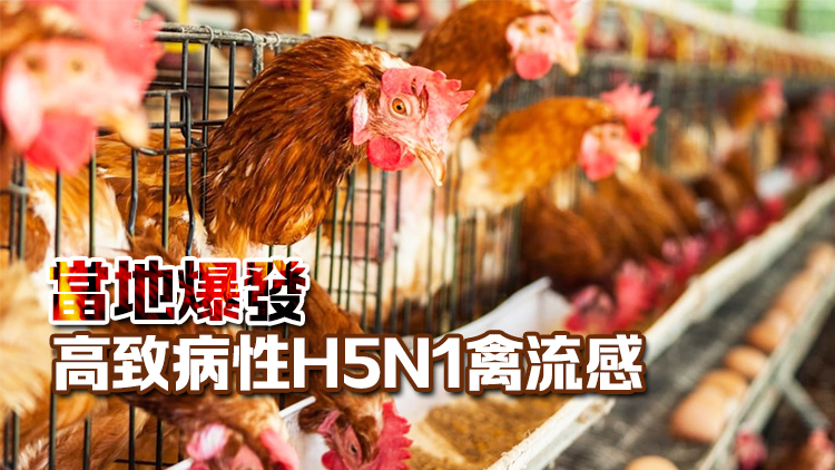 本港暫停進(jìn)口加拿大和法國部分地區(qū)禽肉及禽類產(chǎn)品