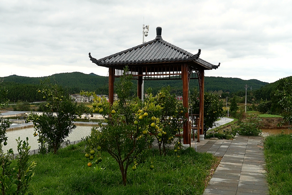 四川梓潼又添文旅新景點  復(fù)興寺水庫開發(fā)建設(shè)項目提前完工