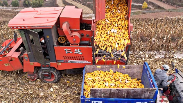 機(jī)械人工齊上陣 甘肅靜寧「保姆式」託管服務(wù)助豐收