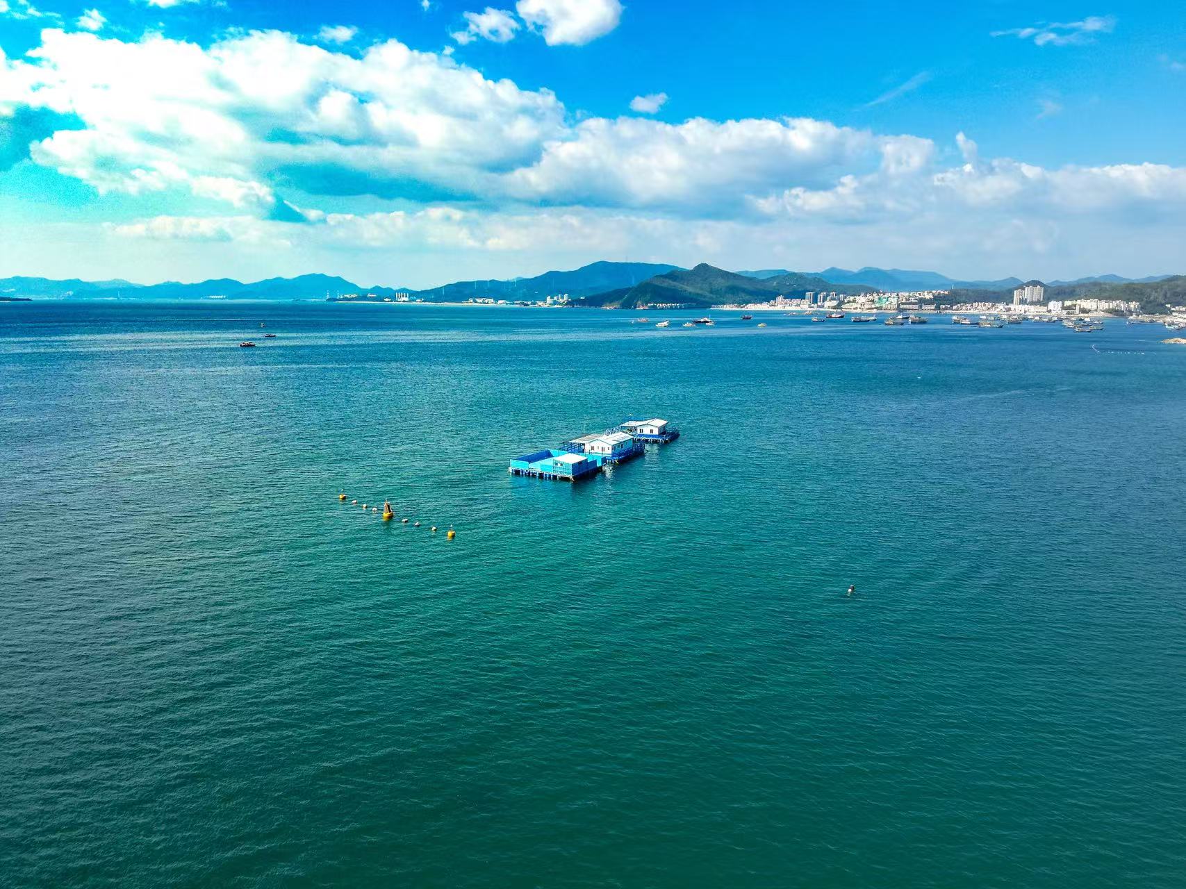 實境檢驗海洋硬科技 2025海博會大鵬分會場精彩啟幕