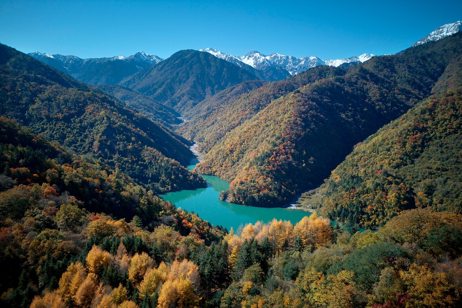 彩林紅葉應(yīng)時(shí)染四川平武白馬藏寨迎客忙