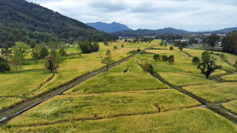 皖黟縣宏村塔川：多元業(yè)態(tài)激活鄉(xiāng)旅新活力