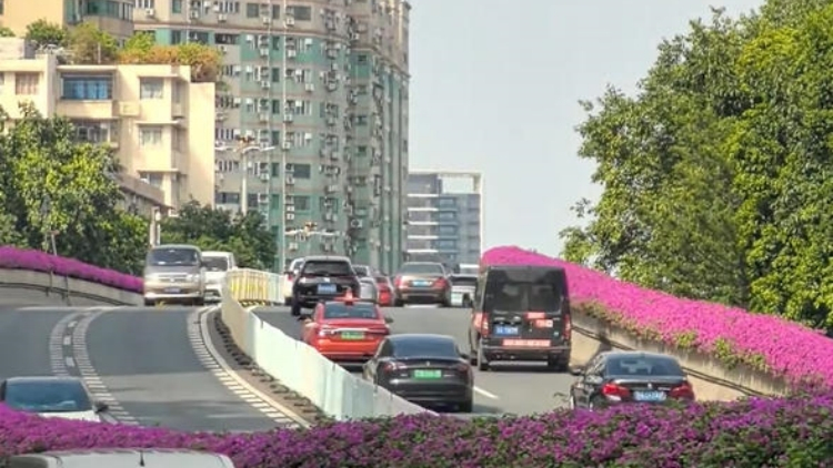 十五運會廣州單雙號限行首日，市區(qū)交通顯著改善