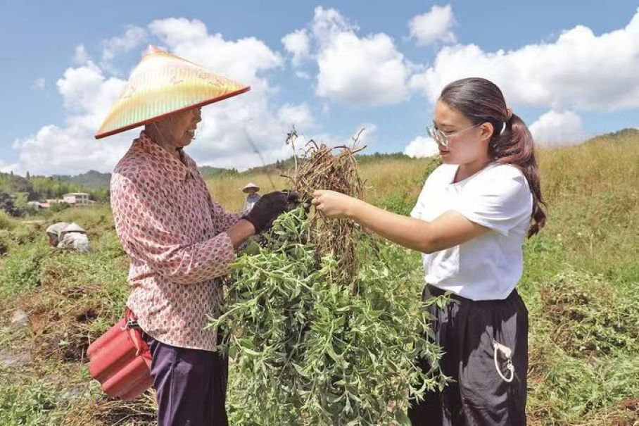 朱彬濱：學成返鄉(xiāng)守古村千年文脈煥新生