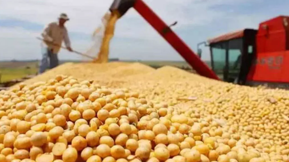 美國(guó)免除部分農(nóng)產(chǎn)品「對(duì)等關(guān)稅」