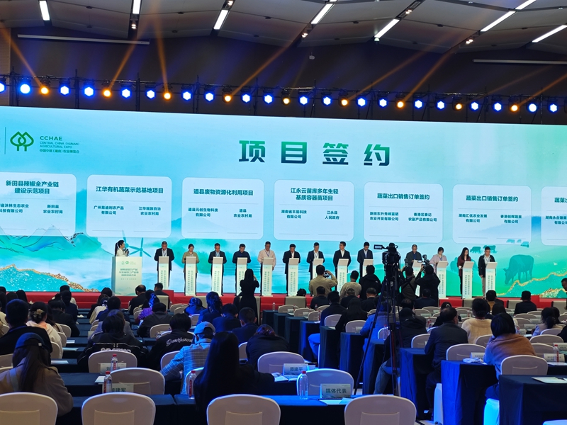 新田縣引進辣椒全產(chǎn)業(yè)鏈「旗艦」項目