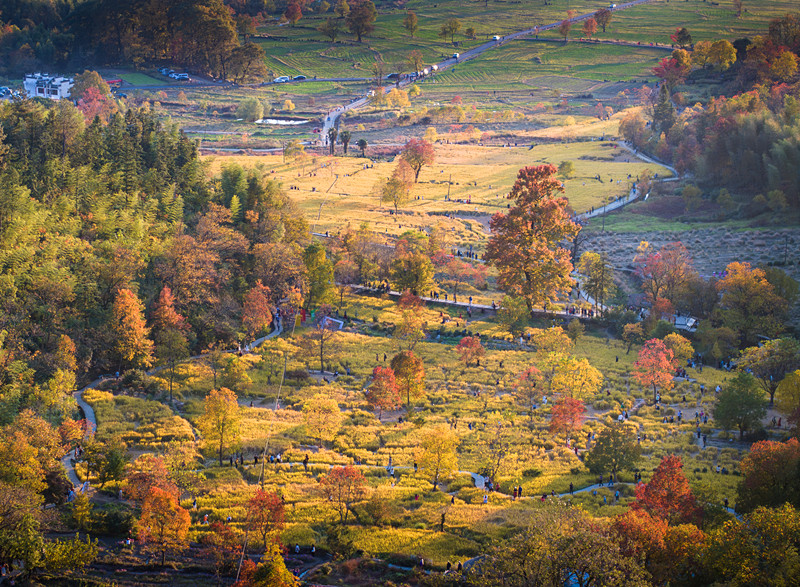 【港商觀察】這場(chǎng)國(guó)際文旅盛會(huì)何以花落黃山？