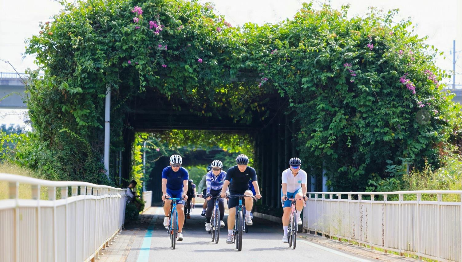 港人北上騎行 深圳絕美推薦路線來(lái)了！