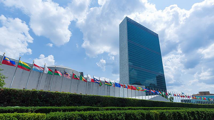 中國女法官張玲玲當(dāng)選聯(lián)合國上訴法庭法官