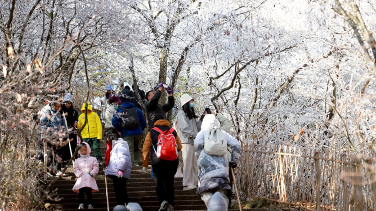 【黃山旅遊】黃山風(fēng)景區(qū)：霧凇雲(yún)海「夢(mèng)幻聯(lián)動(dòng)」