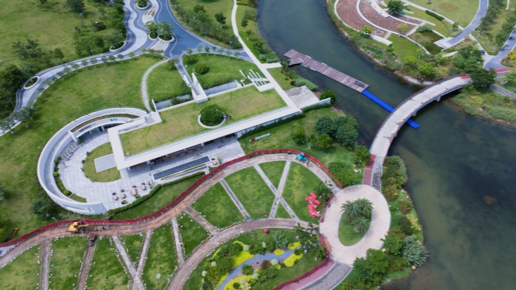 規(guī)上服務(wù)業(yè)營收同比增長7.1%！速覽廣東前10月經(jīng)濟(jì)運(yùn)行成績單