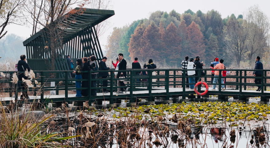 漫遊初冬風(fēng)光