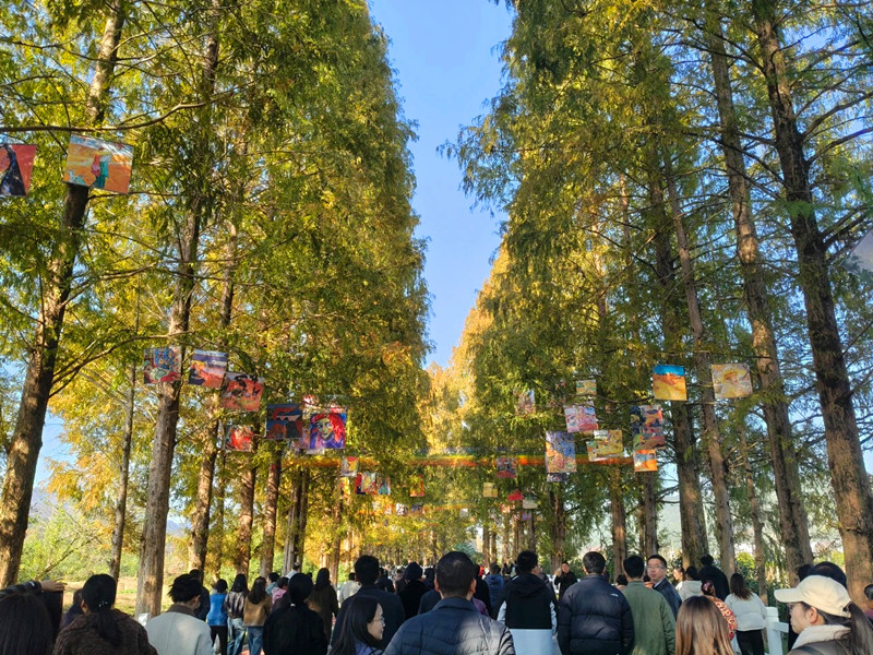 大道如畫齊雲(yún)有藝 皖休寧齊雲(yún)山大地公路藝術(shù)季拉帷
