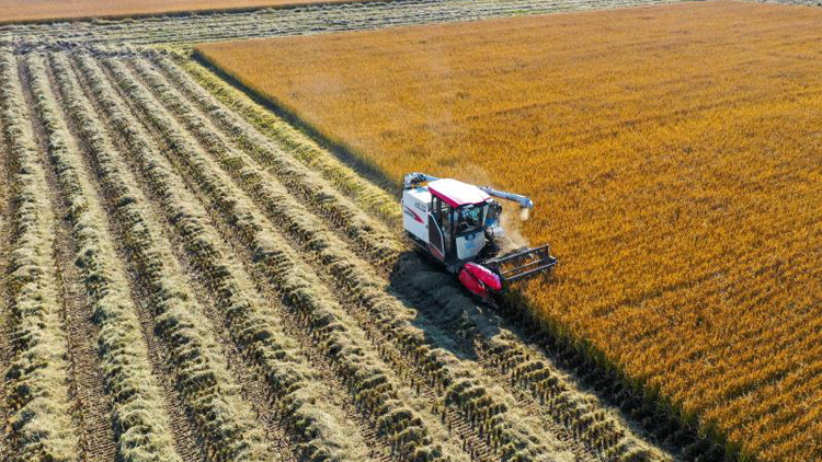 【投行視野】「十五五」政策成經(jīng)濟調(diào)整主軸 農(nóng)林牧漁成新周期亮點