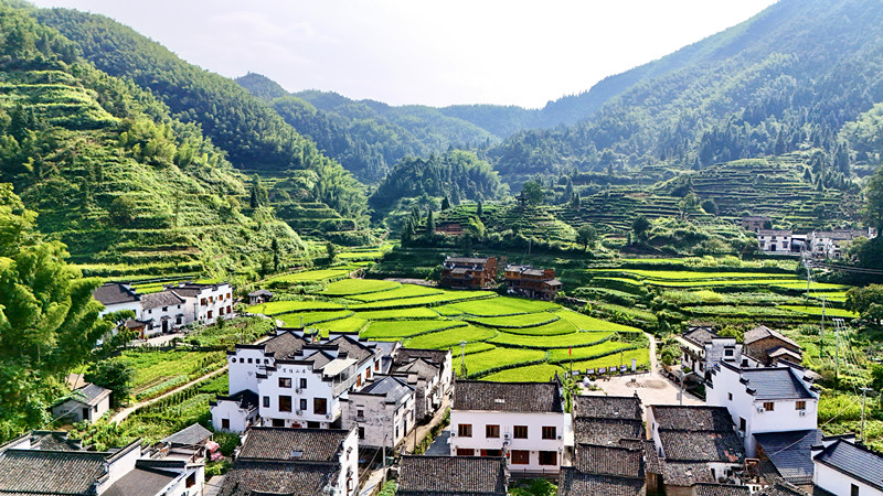 皖休寧溪口鎮(zhèn)：「雙車道」激活鄉(xiāng)村「新引擎」 祖源古村駛?cè)胝衽d「快車道」