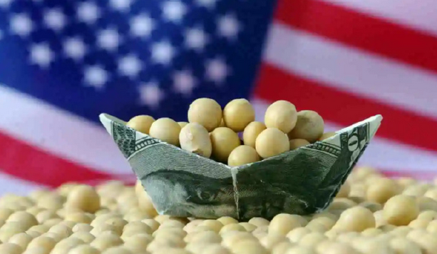 內(nèi)地傳至少採購十艘船美國大豆 明年1月裝運(yùn)