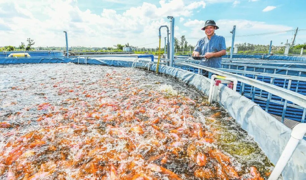 奮進的?？谪？冢嚎萍肌附痂€匙」 打開「致富門」