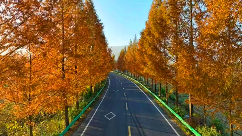 皖黟縣：醉美218風(fēng)景道添彩全域旅遊