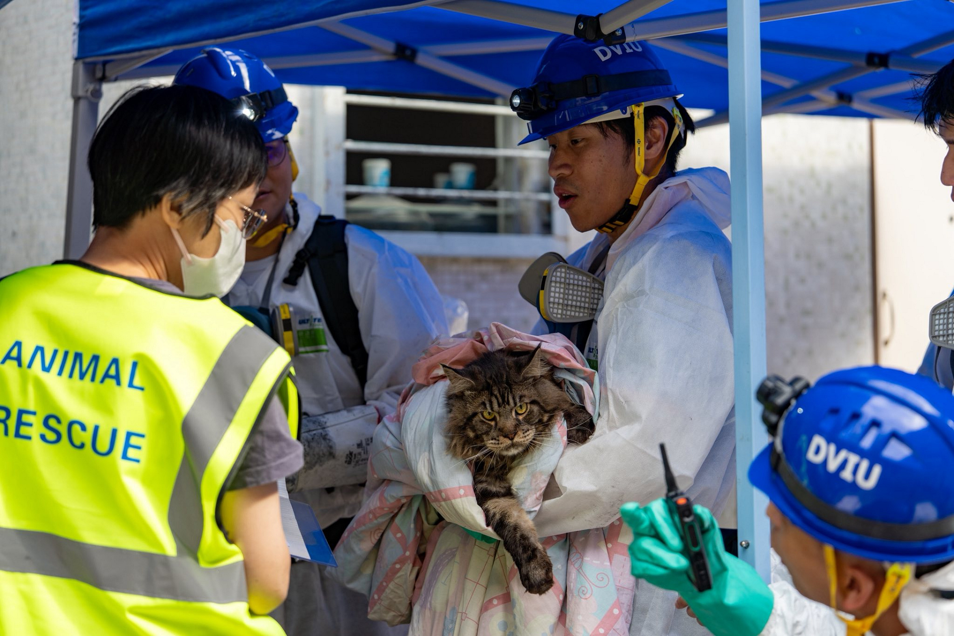 宏福苑大火丨警方爭分奪秒全力開展搜證行動(dòng)