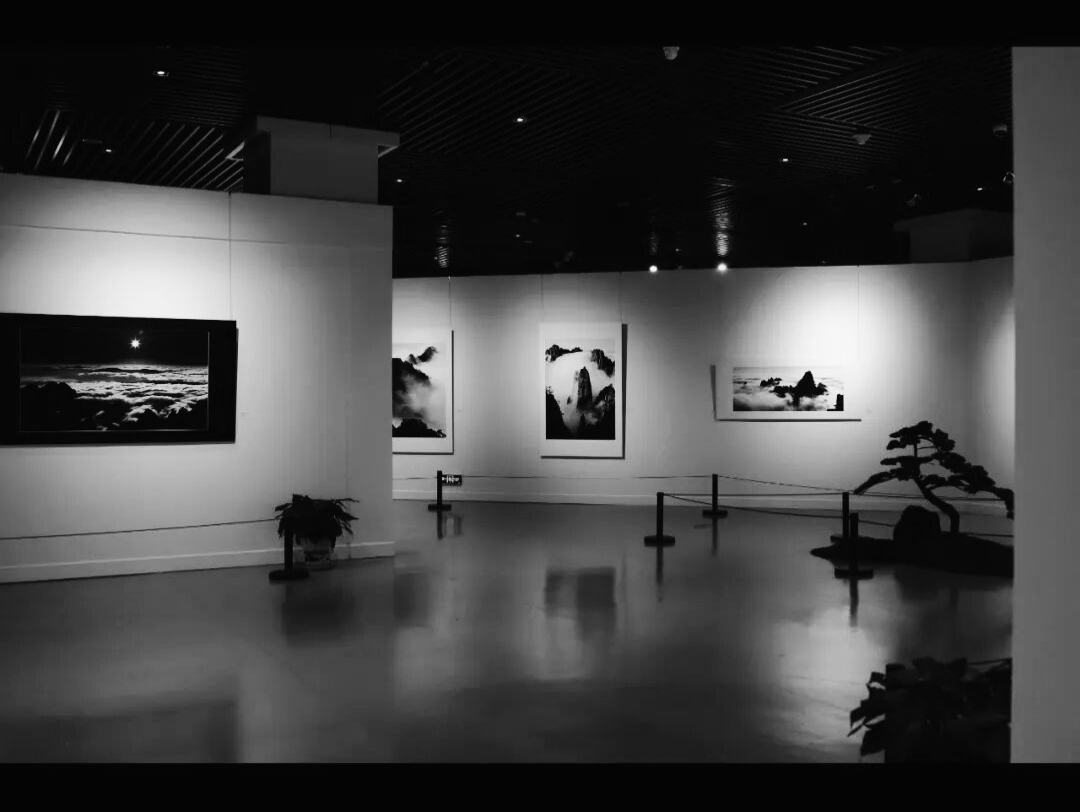 汪蕪生80誕辰紀(jì)念展在蕪湖舉辦 黑白影像盡顯黃山氣韻