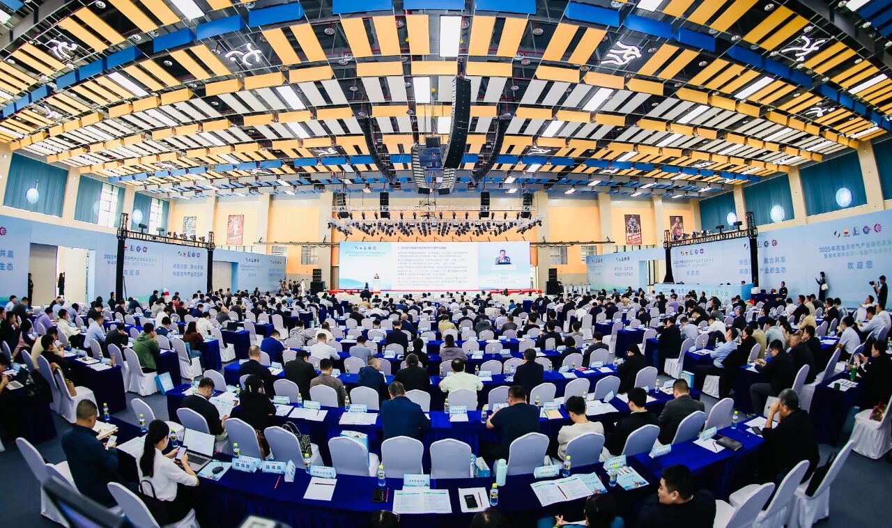 2025年石油天然氣產業(yè)綠色發(fā)展大會暨海南海洋經濟——油服產業(yè)發(fā)展大會在澄邁舉行