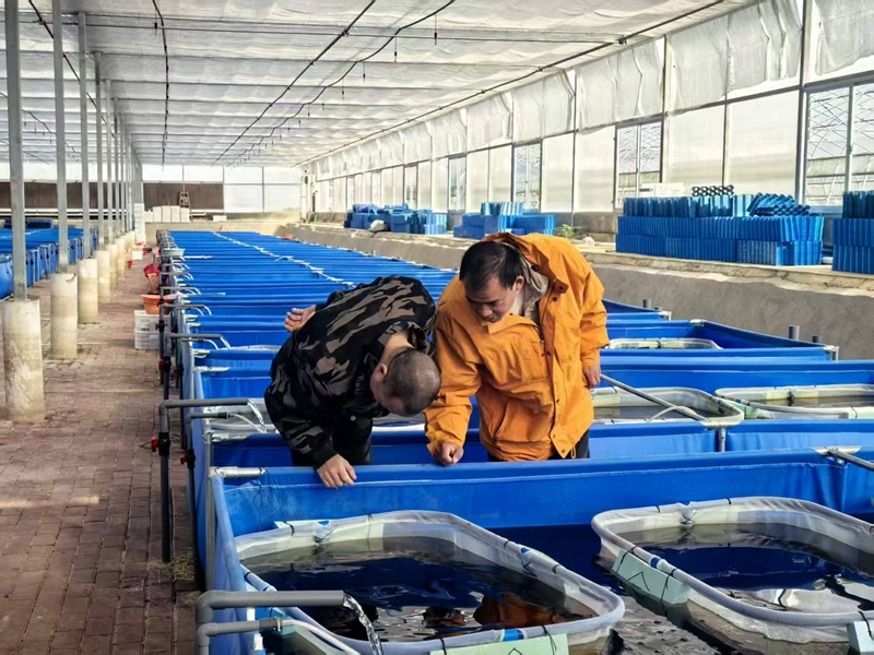 湘品出海 閃耀世界 | 長(zhǎng)沙望城荷花蝦苗走出國(guó)門 東南亞客戶陸續(xù)登門