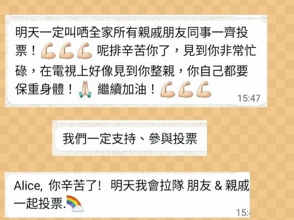 立法會(huì)選舉丨麥美娟：記得投票建設(shè)我們的香港