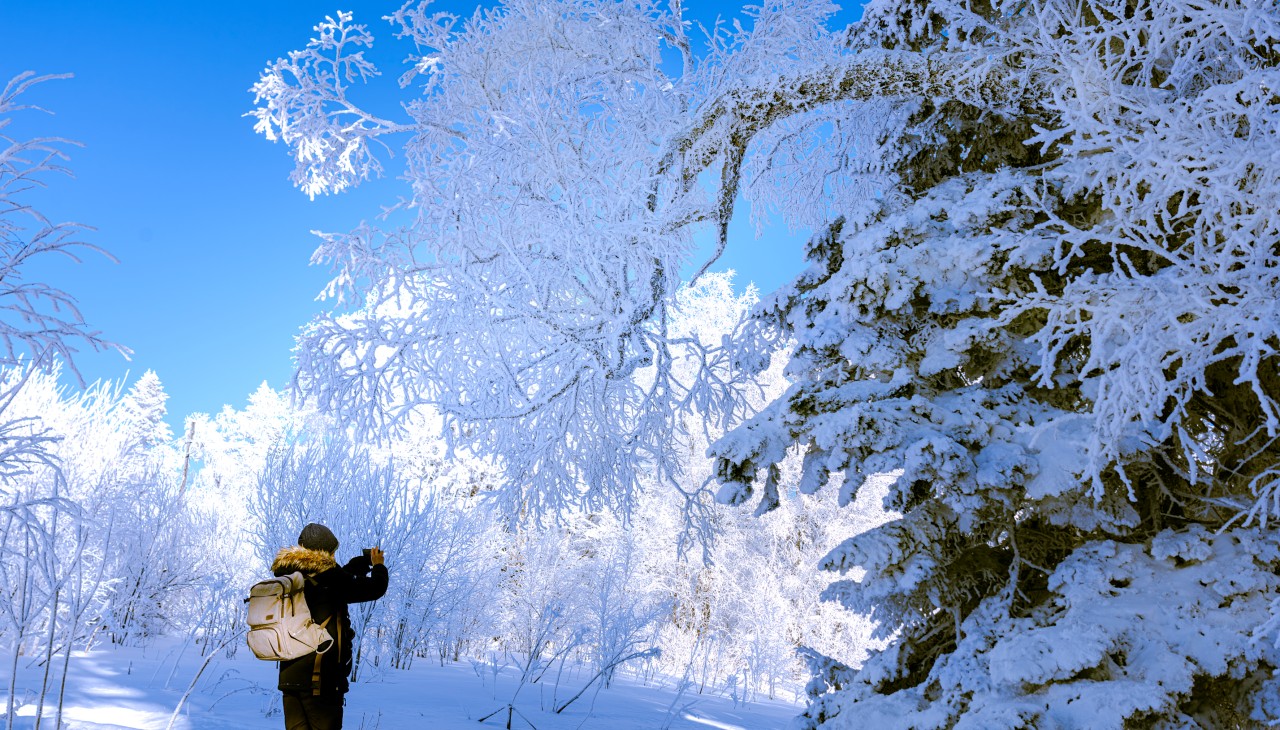 節(jié)氣專(zhuān)稿丨陳耀輝：大雪