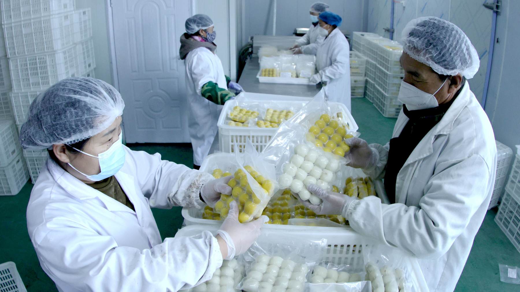 黑龍江綏化北林區(qū)張聲威：黨員返鄉(xiāng)辦廠帶鄉(xiāng)親共赴致富路