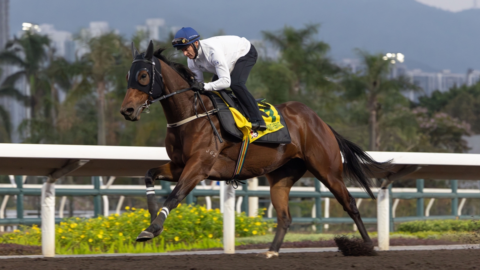 嘉應(yīng)高昇衝擊16連勝 潘頓：感恩遇上策騎以來(lái)最出色一駒