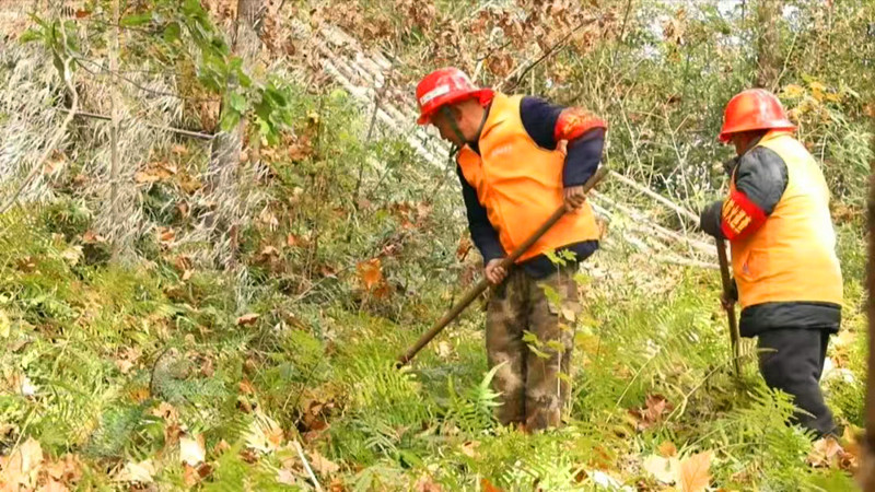 皖黟縣：織密網(wǎng)絡(luò)健全體系 築牢全域森林防火牆